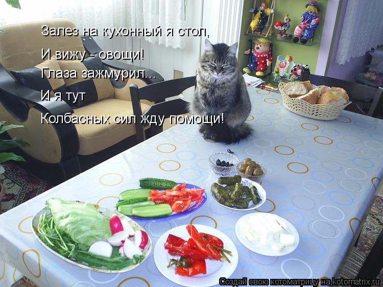 Залез на кухонный я стол, И вижу - овощи! Глаза зажмурил... И я тут Колбасных сил жду помощи!... Котоматрица: Залез на кухонный я стол, И вижу - овощи! Глаза зажмурил... И я тут Колбасных сил жду помощи!
