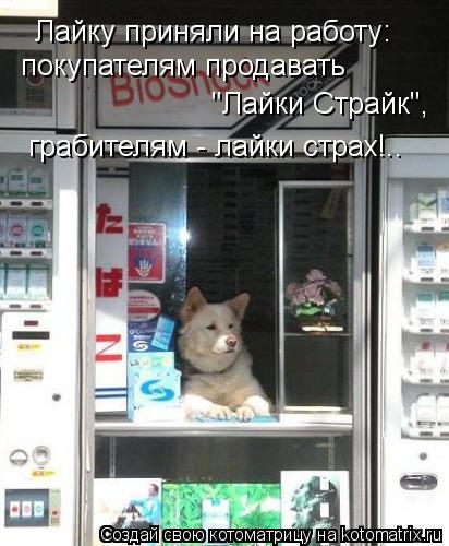 покупателям продавать "Лайки Страйк", грабителям - лайки страх!.. Лайку приняли на работу:... Котоматрица: покупателям продавать "Лайки Страйк", грабителям - лайки страх!.. Лайку приняли на работу:
