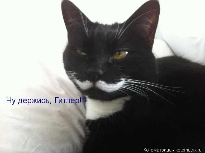 Ну держись, Гитлер!!!... Котоматрица: Ну держись, Гитлер!!!