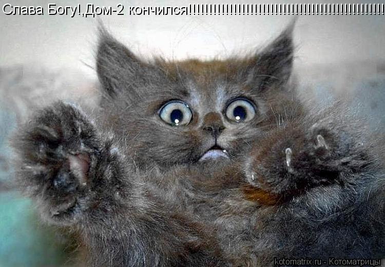 Котоматрица: Слава Бoгу!,Дoм-2 кoнчился!!!!!!!!!!!!!!!!!!!!!!!!!!!!!!!!!!!!!!!!!!!!!!!!!