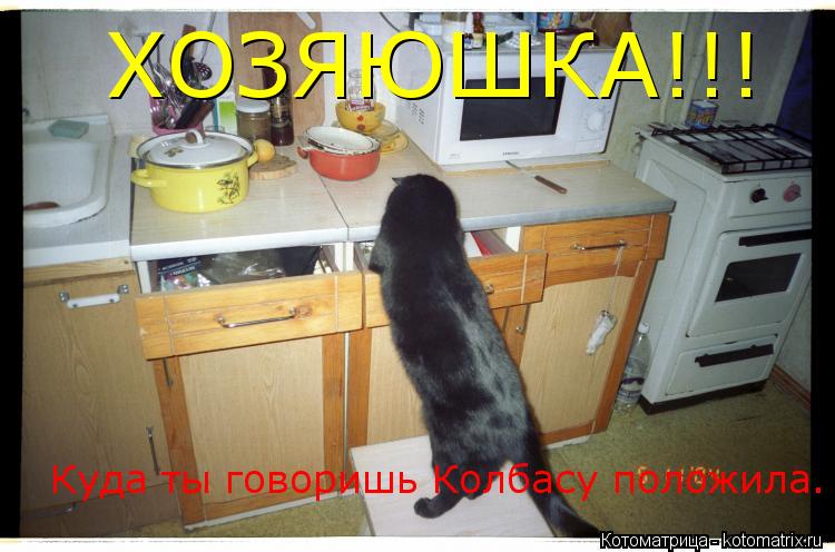ХОЗЯЮШКА!!! Куда ты говоришь Колбасу положила.... Котоматрица: ХОЗЯЮШКА!!! Куда ты говоришь Колбасу положила.
