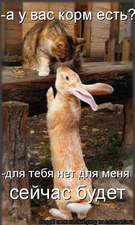 -а у вас корм есть? -для тебя нет для меня сейчас будет... Котоматрица: -а у вас корм есть? -для тебя нет для меня сейчас будет
