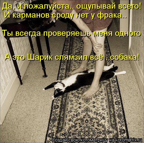 Да, и пожалуйста.. ощупывай всего! И карманов сроду нет у фрака.. Ты всегда проверяешь меня одного А ... Котоматрица: Да, и пожалуйста.. ощупывай всего! И карманов сроду нет у фрака.. Ты всегда проверяешь меня одного А это Шарик слямзил всё ..собака!