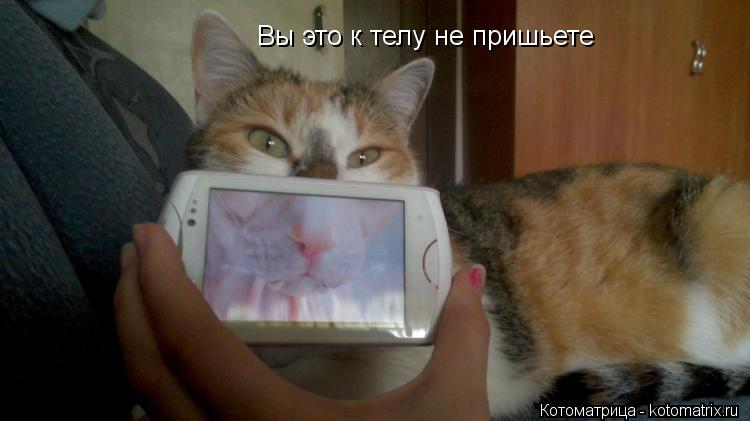 Вы это к телу не пришьете... Котоматрица: Вы это к телу не пришьете