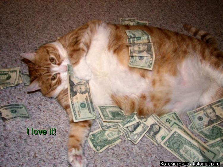 I love it!... Котоматрица: I love it!