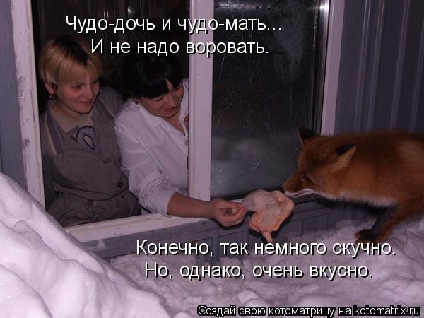 Котоматрица: Чудо-дочь и чудо-мать... И не надо воровать. Конечно, так немного скучно. Но, однако, очень вкусно.