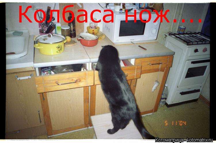 Колбаса нож....... Котоматрица: Колбаса нож....