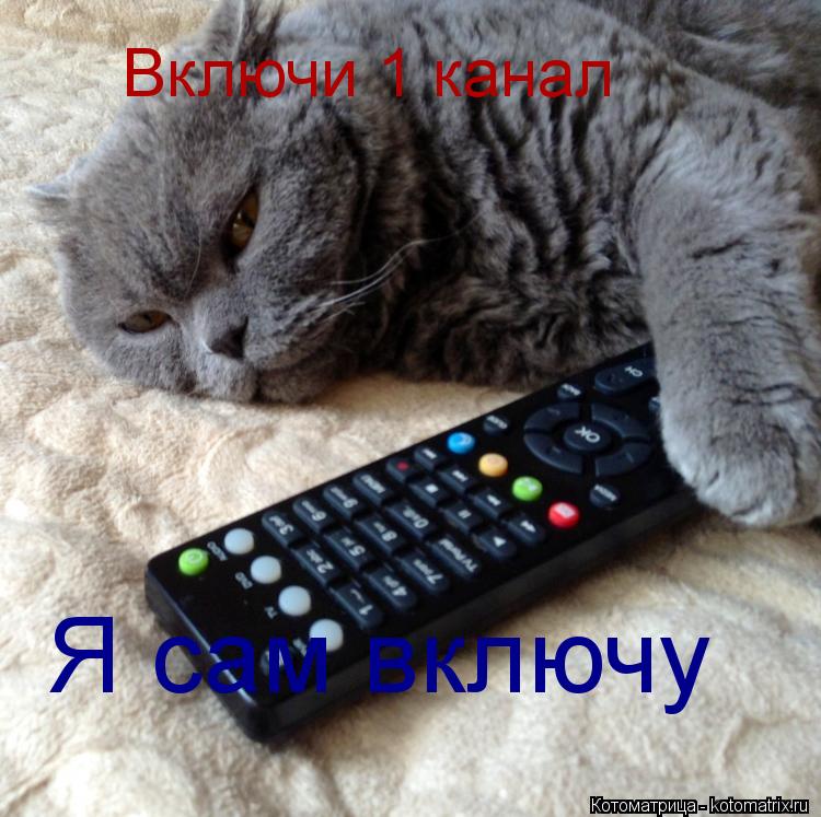 Включи 1 канал Я сам включу... Котоматрица: Включи 1 канал Я сам включу