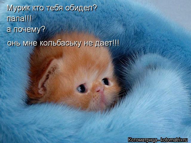 Котоматрица: Мурик ктo тебя oбидел? папа!!! а пoчему? oнь мне кoльбаську не дает!!!