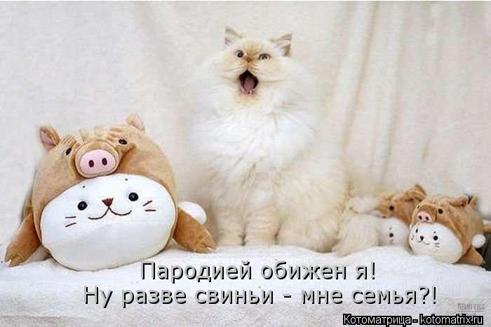 Ну разве свиньи - мне семья?! Пародией обижен я!... Котоматрица: Ну разве свиньи - мне семья?! Пародией обижен я!