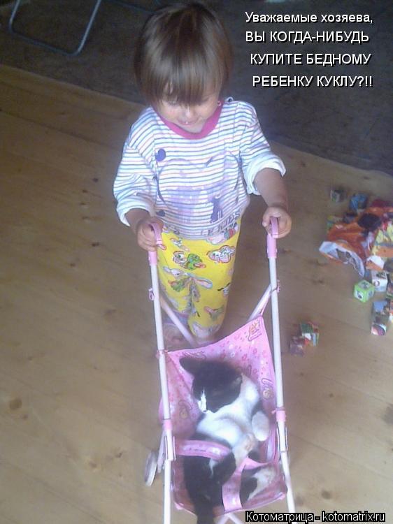 Уважаемые хозяева, ВЫ КОГДА-НИБУДЬ КУПИТЕ БЕДНОМУ РЕБЕНКУ КУКЛУ?!!... Котоматрица: Уважаемые хозяева, ВЫ КОГДА-НИБУДЬ КУПИТЕ БЕДНОМУ РЕБЕНКУ КУКЛУ?!!