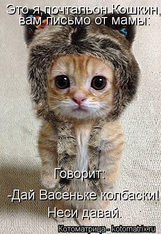 Это я,почтальон Кошкин, вам письмо от мамы: Говорит: -Дай Васеньке колбаски!!! Неси давай.... Котоматрица: Это я,почтальон Кошкин, вам письмо от мамы: Говорит: -Дай Васеньке колбаски!!! Неси давай.