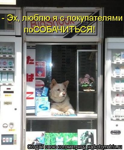 - Эх, люблю я с покупателями поСОБАЧИТЬСЯ!... Котоматрица: - Эх, люблю я с покупателями поСОБАЧИТЬСЯ!