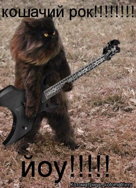 кошачий рок!!!!!!!!!!!!!! йоу!!!!!... Котоматрица: кошачий рок!!!!!!!!!!!!!! йоу!!!!!