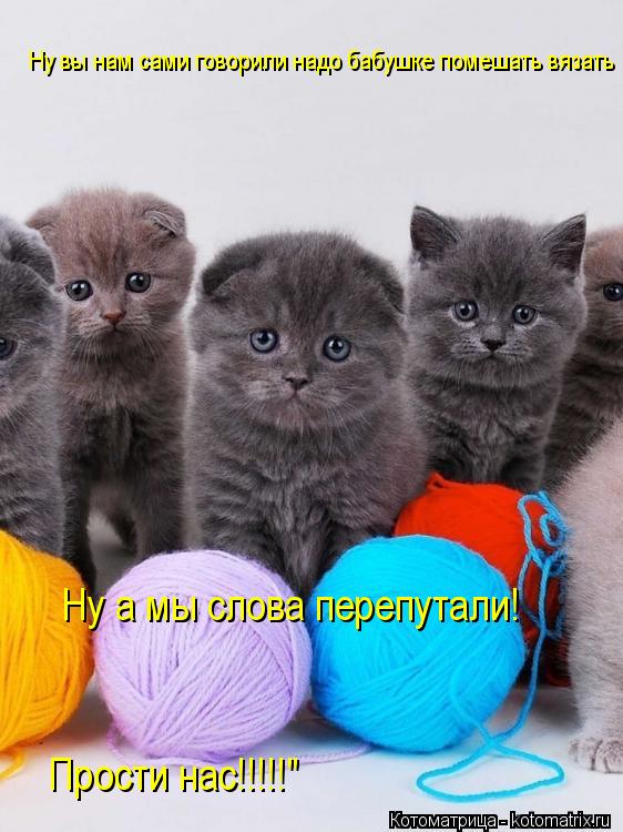 Ну вы нам сами говорили надо бабушке помешать вязать Ну а мы слова перепутали! Ну а мы слова перепута... Котоматрица: Ну вы нам сами говорили надо бабушке помешать вязать Ну а мы слова перепутали! Ну а мы слова перепутали! Прости нас!!!!!"