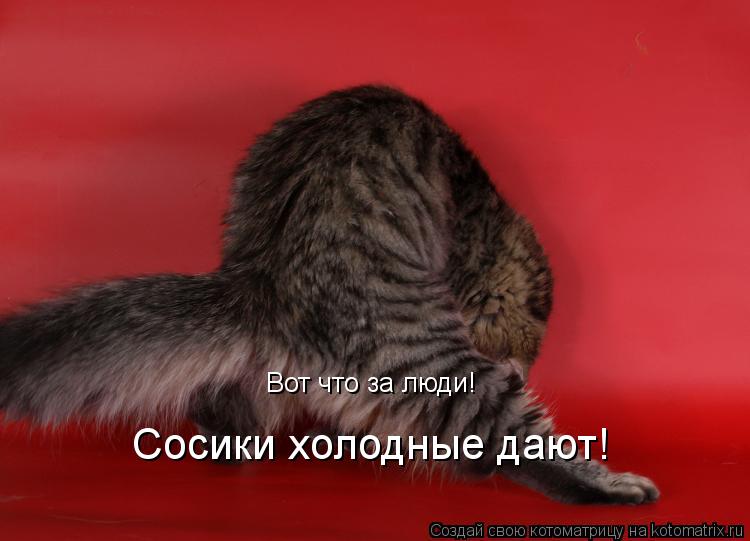 Котоматрица: Вот что за люди! Сосики холодные дают!