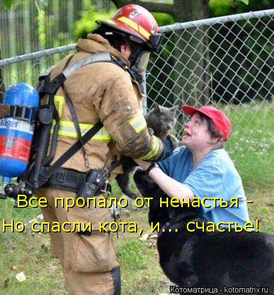 Все пропало от ненастья - Но спасли кота, и... счастье!... Котоматрица: Все пропало от ненастья - Но спасли кота, и... счастье!