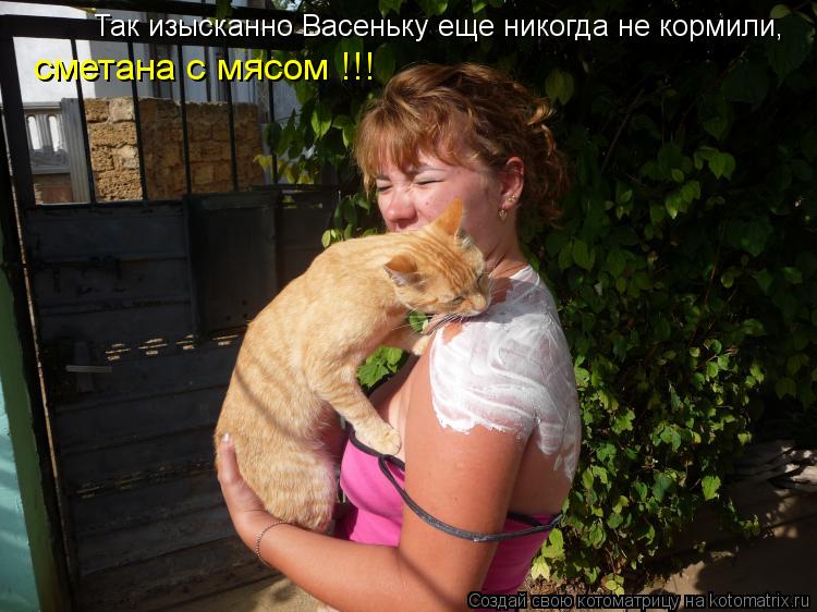 Так изысканно Васеньку еще никогда не кормили, сметана с мясом !!!... Котоматрица: Так изысканно Васеньку еще никогда не кормили, сметана с мясом !!!