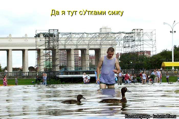 Котоматрица: Да я тут сУтками сижу