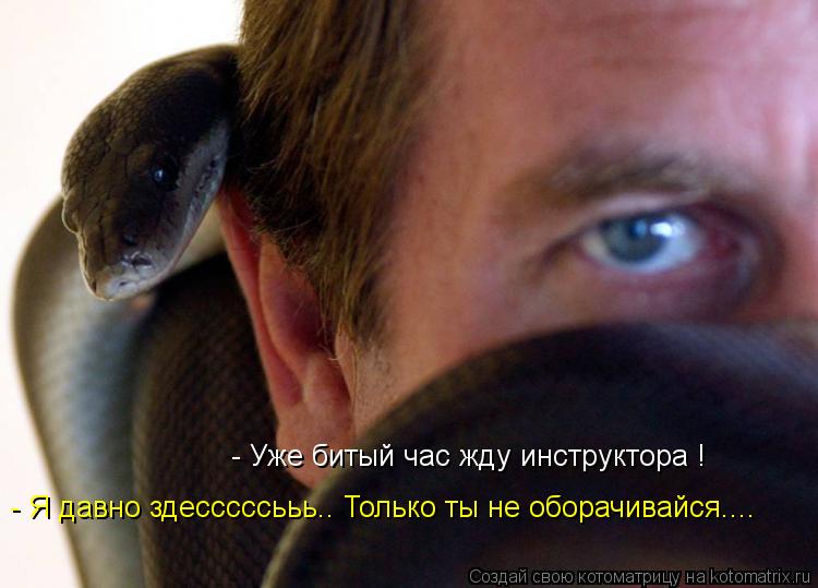 - Уже битый час жду инструктора ! - Я давно здесссссььь.. Только ты не оборачивайся....... Котоматрица: - Уже битый час жду инструктора ! - Я давно здесссссььь.. Только ты не оборачивайся....