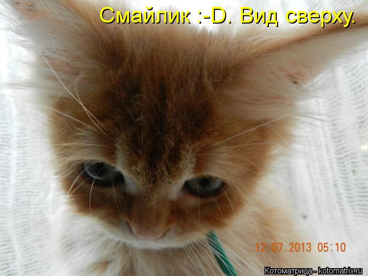 Смайлик :-D. Вид сверху.... Котоматрица: Смайлик :-D. Вид сверху.