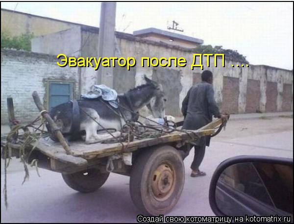 Эвакуатор после ДТП ....... Котоматрица: Эвакуатор после ДТП ....