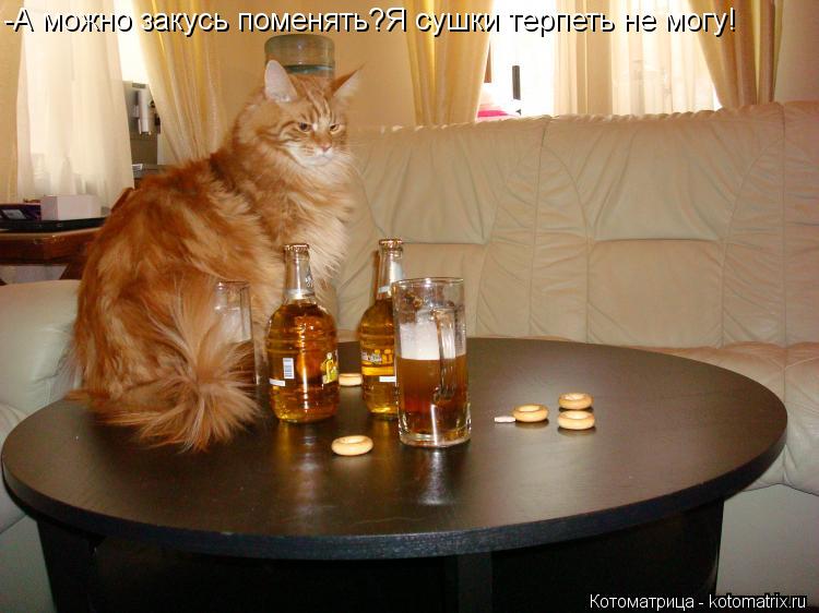 Котоматрица: -А можно закусь поменять?Я сушки терпеть не могу!