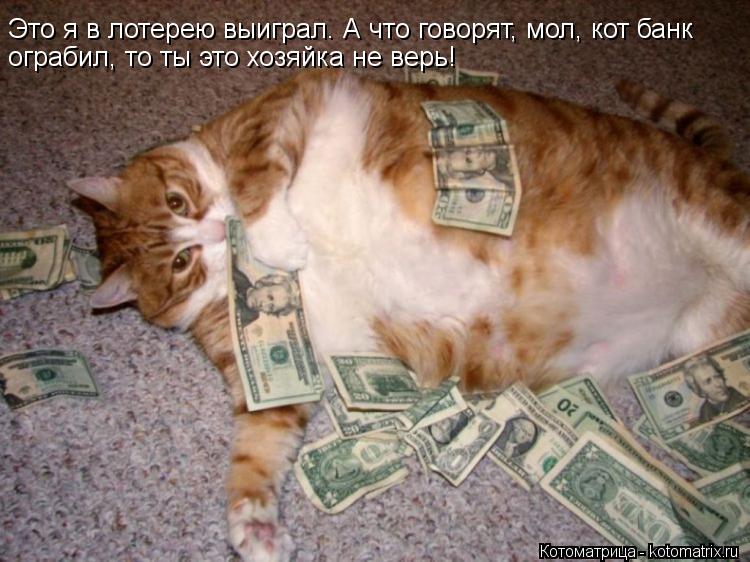 Это я в лотерею выиграл. А что говорят, мол, кот банк ограбил, то ты это хозяйка не верь!... Котоматрица: Это я в лотерею выиграл. А что говорят, мол, кот банк ограбил, то ты это хозяйка не верь!