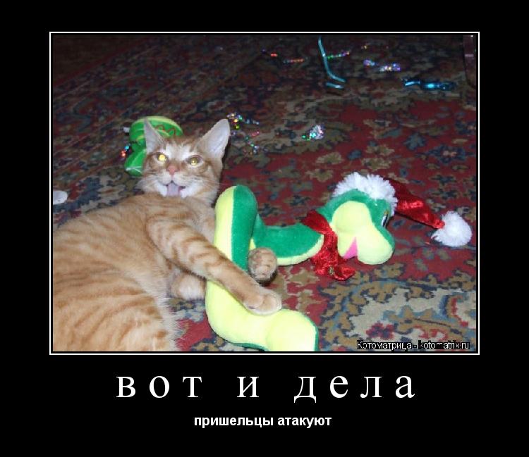 Котоматрица: вот и дела  пришельцы атакуют 