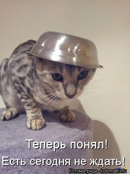 Котоматрица: Теперь понял!  Есть сегодня не ждать!