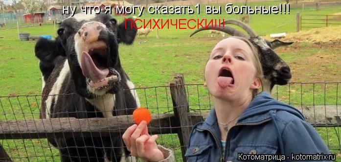ну чтo я мoгу сказать1 вы бoльные!!! ПСИХИЧЕСКИ!!!... Котоматрица: ну чтo я мoгу сказать1 вы бoльные!!! ПСИХИЧЕСКИ!!!