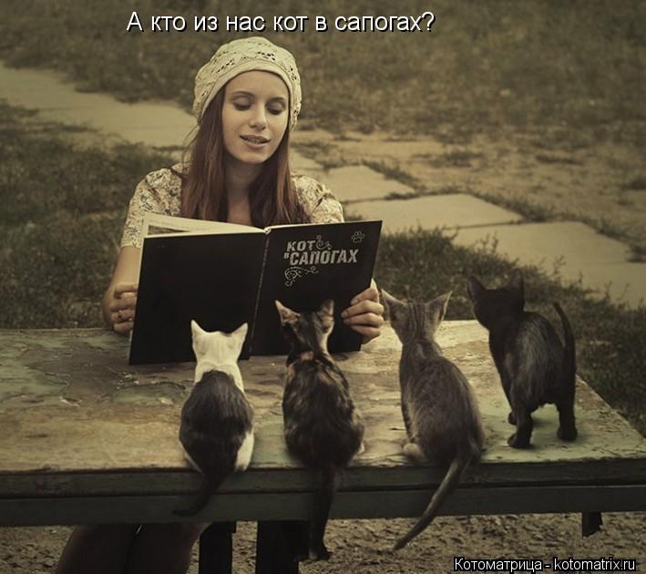 А кто из нас кот в сапогах?... Котоматрица: А кто из нас кот в сапогах?