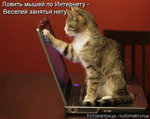 Ловить мышей по Интернету - Веселей занятья нету... Котоматрица: Ловить мышей по Интернету - Веселей занятья нету
