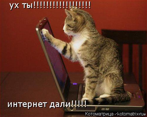 ух ты!!!!!!!!!!!!!!!!!! интернет дали!!!!!... Котоматрица: ух ты!!!!!!!!!!!!!!!!!! интернет дали!!!!!