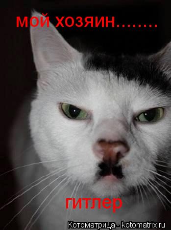 мой хозяин........ гитлер... Котоматрица: мой хозяин........ гитлер