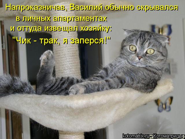 Напроказничав, Василий обычно скрывался и оттуда извещал хозяйку: в личных апартаментах "Чик - трак,... Котоматрица: Напроказничав, Василий обычно скрывался и оттуда извещал хозяйку: в личных апартаментах "Чик - трак, я заперся!"