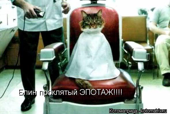 Блин проклятый ЭПОТАЖ!!!!... Котоматрица: Блин проклятый ЭПОТАЖ!!!!