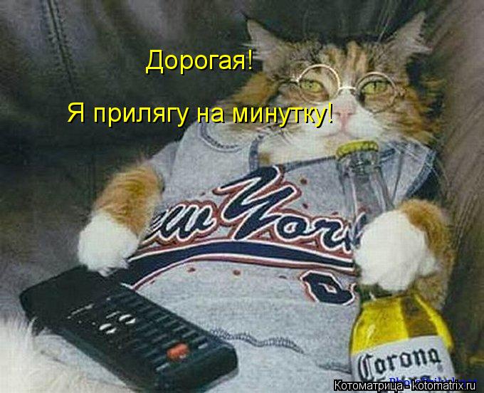 Дорогая! Я прилягу на минутку!... Котоматрица: Дорогая! Я прилягу на минутку!