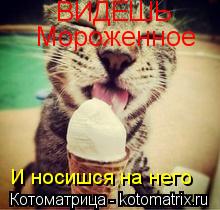 ВИДЕШЬ Мороженное И носишся на него... Котоматрица: ВИДЕШЬ Мороженное И носишся на него