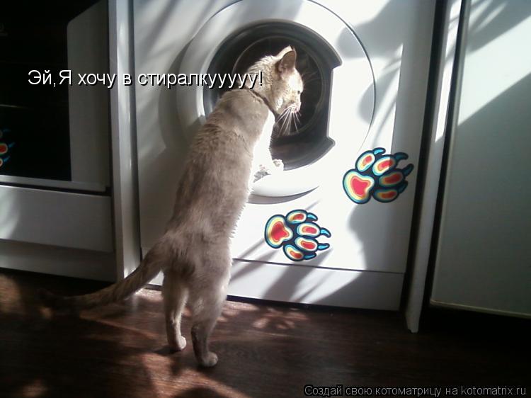 Эй,Я хочу в стиралкууууу!... Котоматрица: Эй,Я хочу в стиралкууууу!