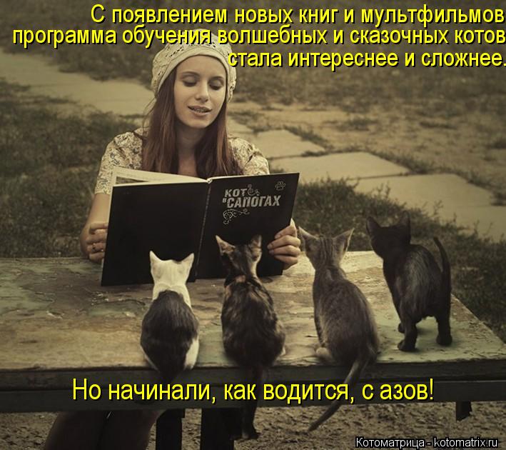 С появлением новых книг и мультфильмов программа обучения волшебных и сказочных котов стала интересне... Котоматрица: С появлением новых книг и мультфильмов программа обучения волшебных и сказочных котов стала интереснее и сложнее. Но начинали, как водится