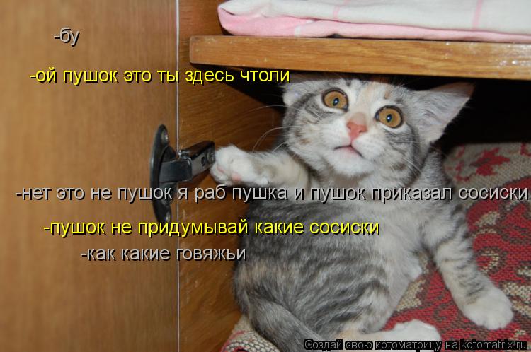 -бу -ой пушок это ты здесь чтоли -нет это не пушок я раб пушка и пушок приказал сосиски -пушок не при... Котоматрица: -бу -ой пушок это ты здесь чтоли -нет это не пушок я раб пушка и пушок приказал сосиски -пушок не придумывай какие сосиски -как какие говяжьи