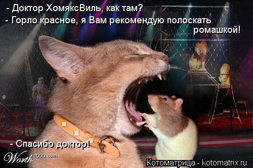 - Доктор ХомяксВиль, как там? - Спасибо доктор! - Горло красное, я Вам рекомендую полоскать ромашкой!... Котоматрица: - Доктор ХомяксВиль, как там? - Спасибо доктор! - Горло красное, я Вам рекомендую полоскать ромашкой!