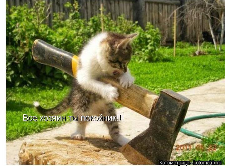 Все хозяин ты покойник!!!... Котоматрица: Все хозяин ты покойник!!!