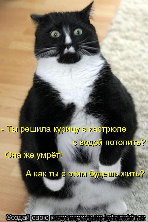 - Ты решила курицу в кастрюле с водой потопить? Она же умрёт! А как ты с этим будешь жить?... Котоматрица: - Ты решила курицу в кастрюле с водой потопить? Она же умрёт! А как ты с этим будешь жить?
