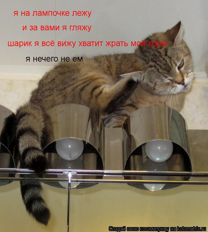 я на лампочке лежу и за вами я гляжу шарик я всё вижу хватит жрать мой корм я нечего не ем... Котоматрица: я на лампочке лежу и за вами я гляжу шарик я всё вижу хватит жрать мой корм я нечего не ем