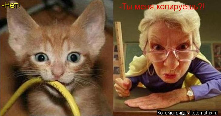 Котоматрица: -Ты меня копируешь?! -Нет!