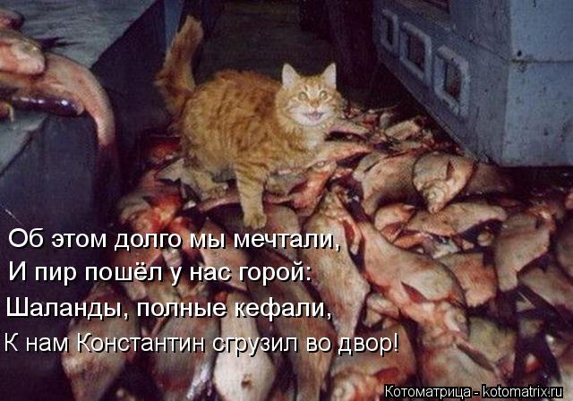 Об этом долго мы мечтали, И пир пошёл у нас горой: Шаланды, полные кефали, К нам Константин сгрузил... Котоматрица: Об этом долго мы мечтали, И пир пошёл у нас горой: Шаланды, полные кефали, К нам Константин сгрузил во двор!