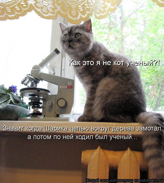 Котоматрица: Как это я не кот ученый?! Значит когда Шарика цепью вокруг дерева замотал, а потом по ней ходил был ученый...