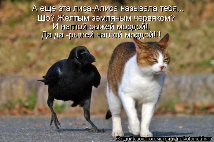 А еще эта лиса-Алиса называла тебя... Шо? Желтым земляным червяком? И наглой рыжей мордой!! Да да -ры... Котоматрица: А еще эта лиса-Алиса называла тебя... Шо? Желтым земляным червяком? И наглой рыжей мордой!! Да да -рыжей наглой мордой!!!